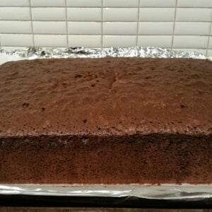 עוגת שוקולד מושחתת